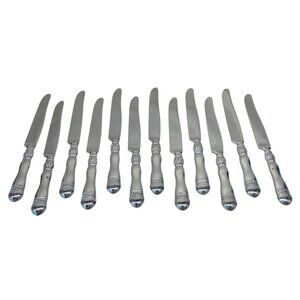 12 Southern Living Gallery Stainless Steel New French Solid Dinner Knives 9 3/8"